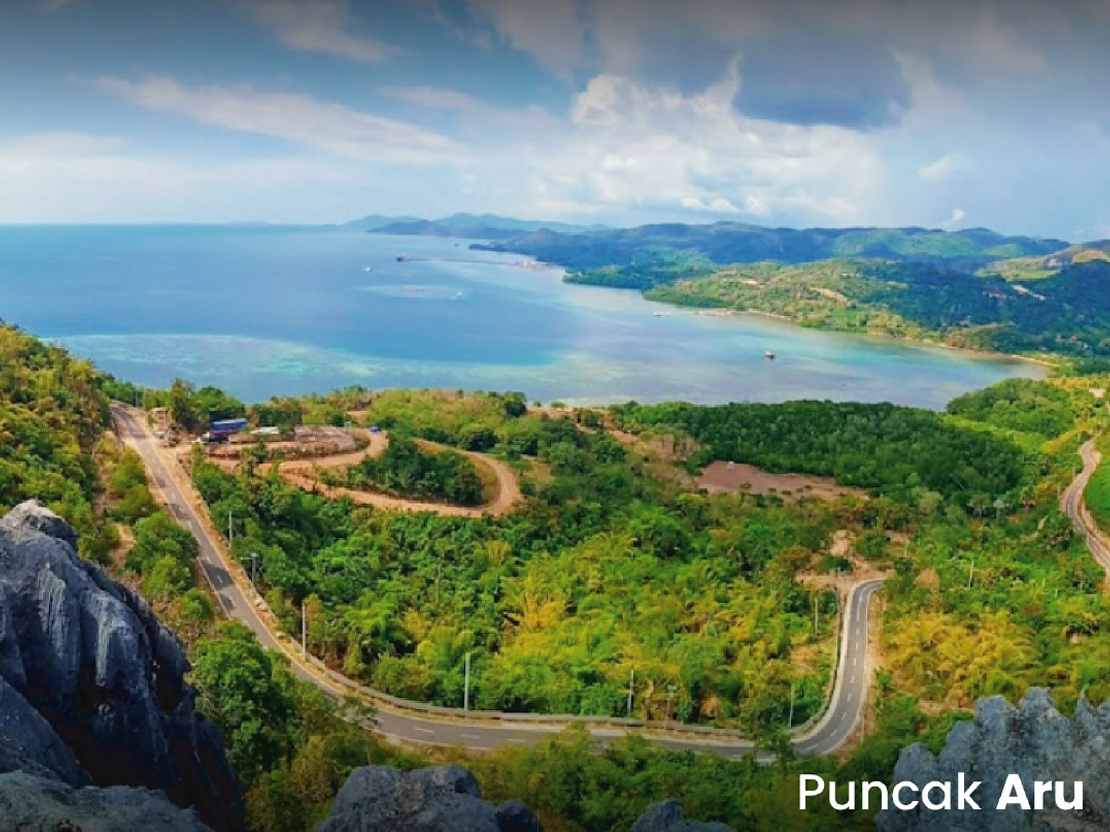 Puncak Aru